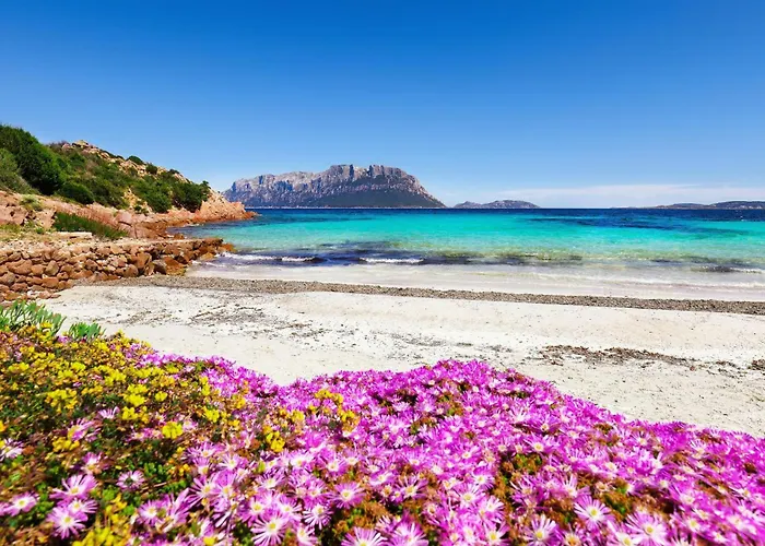 Glori House 50m From Marina Di - Happy Appartement Olbia